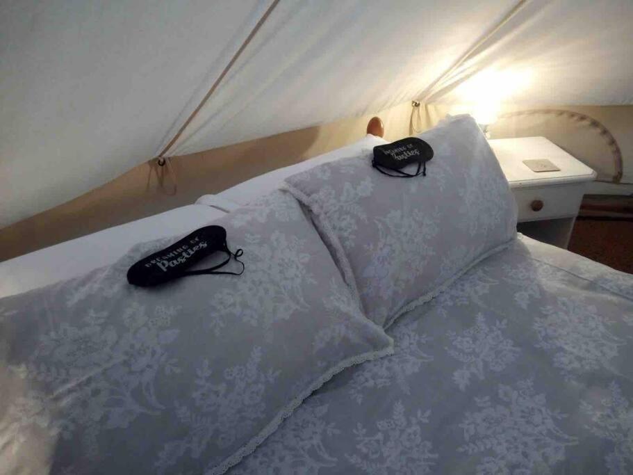 Cox Hill Glamping Badger Hotel Truro Luaran gambar