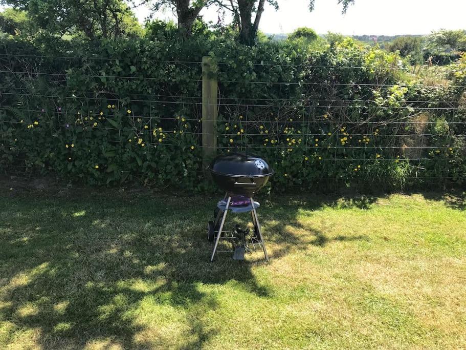 Cox Hill Glamping Badger Hotel Truro Luaran gambar